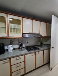 Central Green Condominium (D3), Condominium #619410451